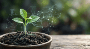 God’s Influencers: How Young Digital Leaders Are Transforming Africa’s Future