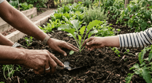 Read more about the article Investing in Human Dignity: Seeing Impact Through the Lens of Catholic Social Teaching
